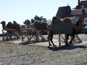 Black_Sea_09_ (136) (Copy)