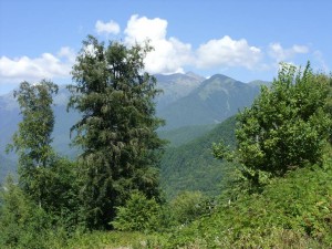 Black_Sea_09_ (186) (Copy)