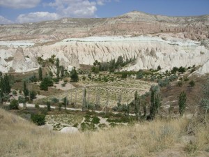 Black_Sea_09_ (249) (Copy)