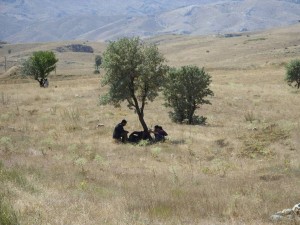 Black_Sea_09_ (282) (Copy)