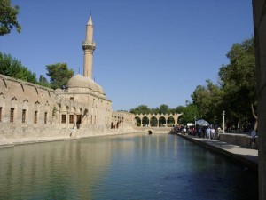 Black_Sea_09_ (330) (Copy)