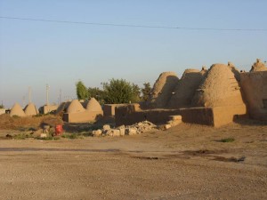 Black_Sea_09_ (339) (Copy)