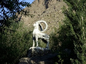 Asien_10 (311) (Copy)