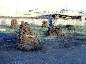 Asien_10 (368) (Copy)