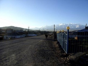 Asien_10 (370) (Copy)