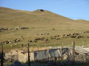 Asien_10 (374) (Copy)