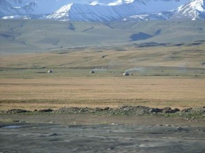 Asien_10 (382) (Copy)