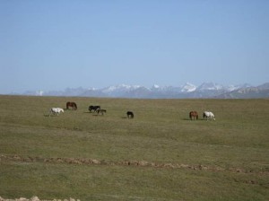 Asien_10 (386) (Copy)