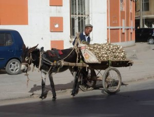 Asien_10 (429) (Copy)