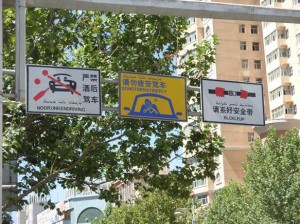 Asien_10 (444) (Copy)