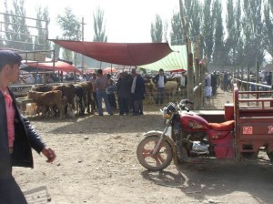 Asien_10 (446) (Copy)