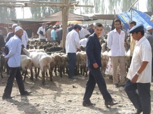 Asien_10 (449) (Copy)