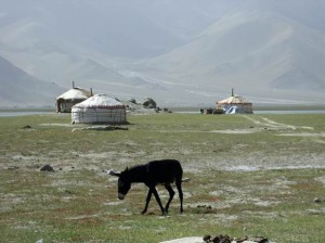 Asien_10 (469) (Copy)