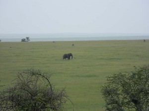 Afrika_12 (197) (Copy)