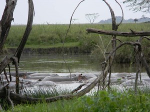 Afrika_12 (215) (Copy)