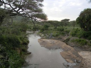 Afrika_12 (246) (Copy)