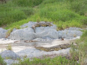 Afrika_12 (264) (Copy)