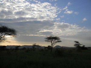 Afrika_12 (268) (Copy)