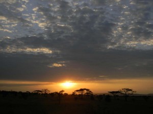 Afrika_12 (274) (Copy)