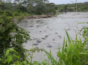 Afrika_12 (320) (Copy)