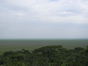 Afrika_12 (324) (Copy)