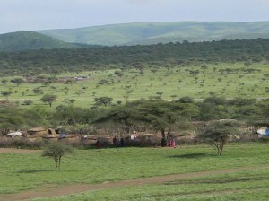 Afrika_12 (346) (Copy)