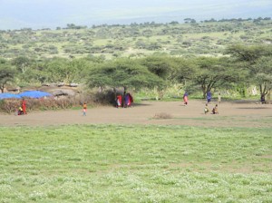 Afrika_12 (347) (Copy)