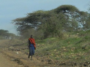 Afrika_12 (348) (Copy)