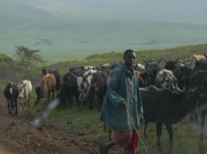 Afrika_12 (350) (Copy)