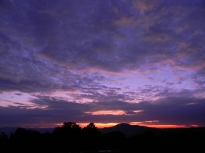 Afrika_12 (368) (Copy)