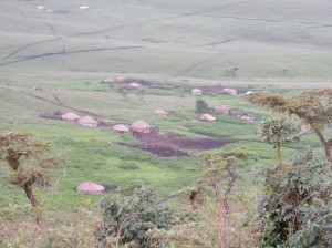 Afrika_12 (372) (Copy)