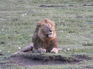 Afrika_12 (382) (Copy)