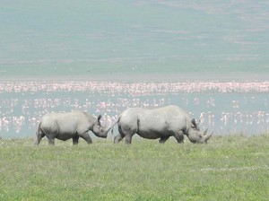 Afrika_12 (415) (Copy)