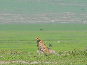 Afrika_12 (432) (Copy)