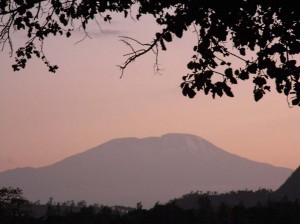 Afrika_12 (450) (Copy)