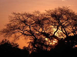 Afrika_12 (457) (Copy)