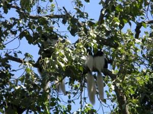 Afrika_12 (468) (Copy)