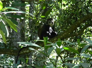 Afrika_12 (471) (Copy)