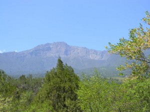 Afrika_12 (473) (Copy)