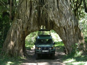 Afrika_12 (475) (Copy)