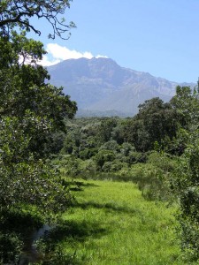 Afrika_12 (479) (Copy)