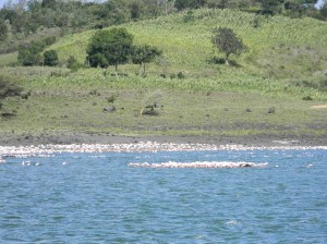 Afrika_12 (484) (Copy)