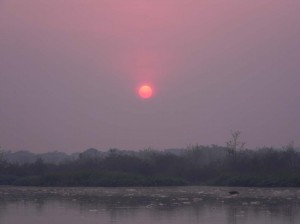 Afrika_12 (525) (Copy)