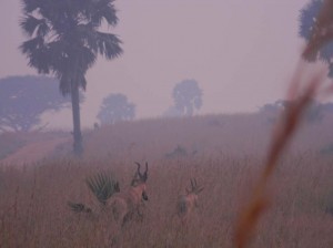 Afrika_12 (530) (Copy)