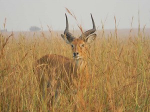 Afrika_12 (534) (Copy)