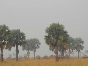 Afrika_12 (536) (Copy)