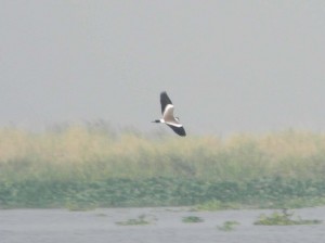 Afrika_12 (549) (Copy)