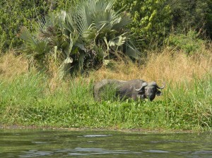 Afrika_12 (579) (Copy)