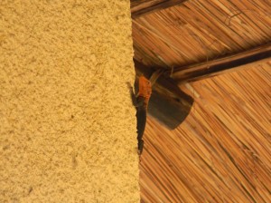 Afrika_12 (606) (Copy)