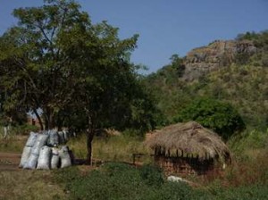 Afrika_12 (609) (Copy)